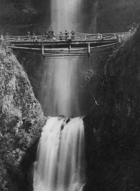 18 Historical Photos of Oregon That Will Transport You Back in Time | That Oregon Life Log Bridge, Adora Batbrat, Oregon College, Oregon Pictures, Oregon History, Oregon Life, Beautiful Oregon, Columbia City, Portland City