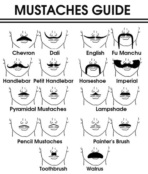 Pencil Mustache, Mustache Drawing, Types Of Mustaches, Walrus Mustache, Mustache Shapes, Fake Mustache, Moustache Style, Growing A Mustache, Cool Mustaches