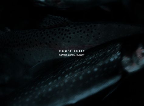 House Tully Tully Aesthetic, Tully Game Of Thrones, Family Duty Honor, Tully House, House Tully, Daenerys And Jon, A Clash Of Kings, Beneath The Sea, The Longest Night