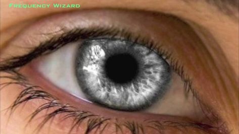 rarest eyes colors in the world — Steemit Light Grey Eyes, Air Elemental, Rare Eye Colors, Silver Eyes, Rare Eyes, Blue Eye Color, Cia Agent, Beautiful Eyes Color, Light Blue Eyes