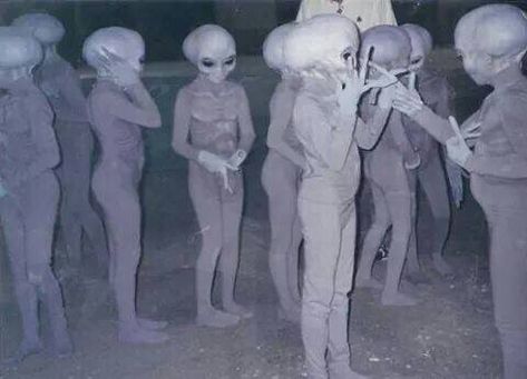 cursed images (@cursedimages) | Twitter Alien Photos, Aliens Exist, Art Alien, Grey Alien, Alien Aesthetic, Arte Alien, The Rocky Horror Picture Show, Funny Random, Aliens And Ufos