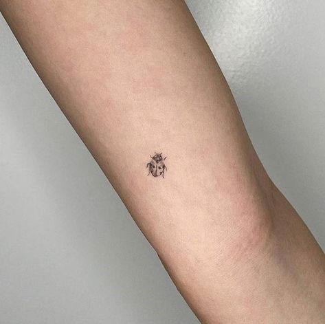 Rosemary Tattoo, Ladybird Tattoo, Aesthetic Tattoo Ideas, Minimal Tattoo Ideas, Ladybug Tattoo, Unique Tattoo Ideas, Lady Bug Tattoo, 20 Aesthetic, Armband Tattoo Design