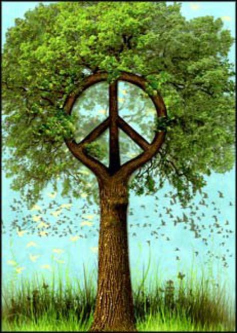 Peace Tree Paz Hippie, Arte Hippy, Peace Sign Art, Jean Arp, Peace Love Happiness, Give Peace A Chance, Psy Art, Alberto Giacometti, Peace Art