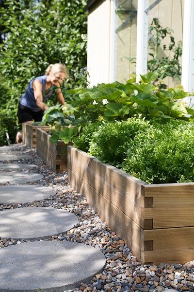 Raised planting beds with rock-scaping. Garden Types, Plants For Raised Beds, Flourish Design, Diy Raised Garden, Raised Garden Beds Diy, Veg Garden, Have Inspiration, Bedding Plants, Veggie Garden