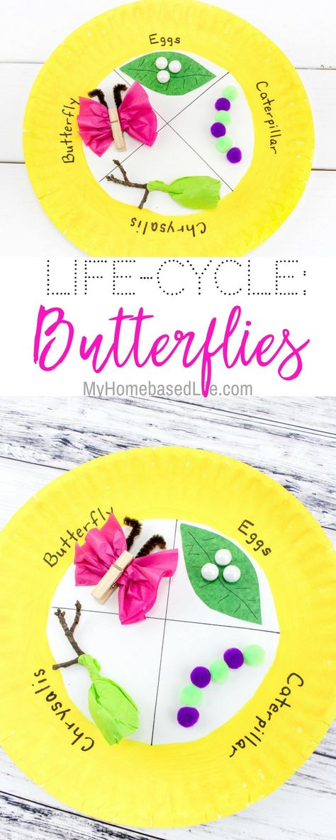 Kids Crafts Simple, Easy Learning Activities, Craft Activity For Kids, Life Cycle Of A Butterfly, Cycle Of A Butterfly, Butterflies Activities, Crafts Simple, Science Learning, Education Science