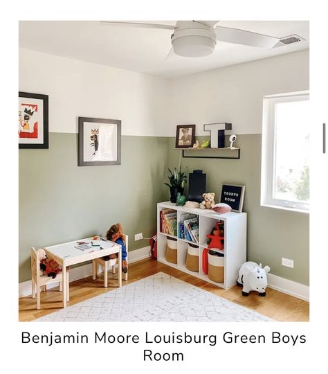 Paint Colors Playroom, Best Olive Green Paint Color, Olive Green Paint Colors, Green Playroom, First Vegetable Garden, Boys Bedroom Green, Olive Green Paint, Green Kids Rooms, Green Boys Room