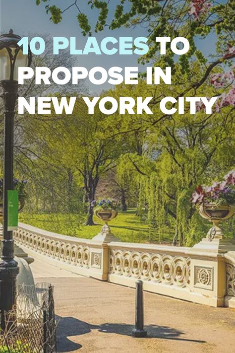 Places To Propose Ideas, Nyc Proposal Ideas, New York Proposal, Nyc Proposal, Places To Propose, Proposal Spots, Best Places To Propose, Brooklyn Park, Romantic Proposal