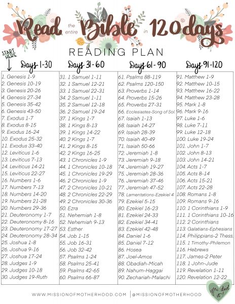 Year Bible Reading Plan, Bible Guide, Learn The Bible, Prayer Closet, Bible Study Topics, Bible Study Plans, Niv Bible, Bible Study Methods, Bible Challenge