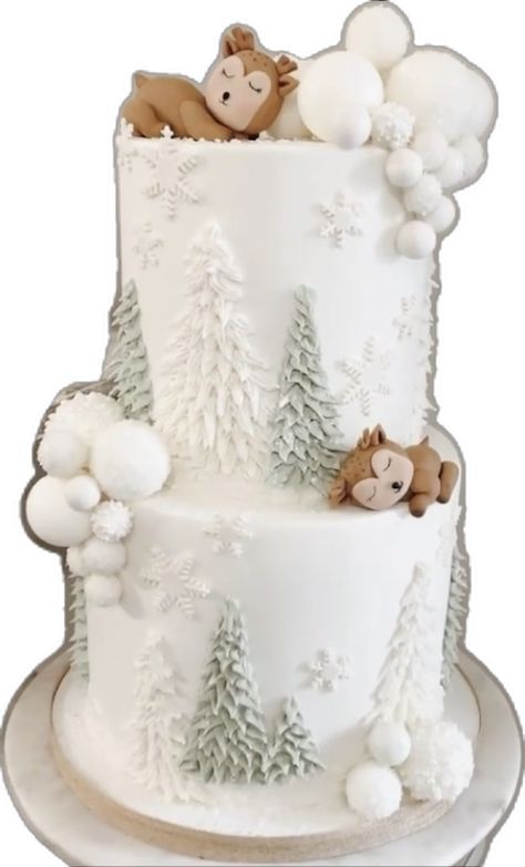 Winter Baby Shower Cake, January Baby Shower, Winter Baby Shower Ideas, Winter Baby Shower Themes, January Baby, Winter Baby Shower Invitations, December Baby, Winter Wonderland Baby Shower, Baby Shower Cakes For Boys