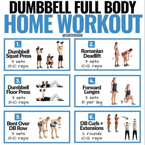 . Wanna give this dumbbell workout a shot? (instructions below👇) ⠀ Most of my posts tend to be about nutrition. Reason being, when it… 4 Day Workout Routine, Dumbbell Ab Workout, Best Dumbbell Exercises, Dumbbell Workout At Home, Core Workout Videos, Full Body Workout Plan, Weight Workouts, Full Body Dumbbell Workout, Dumbbell Squat