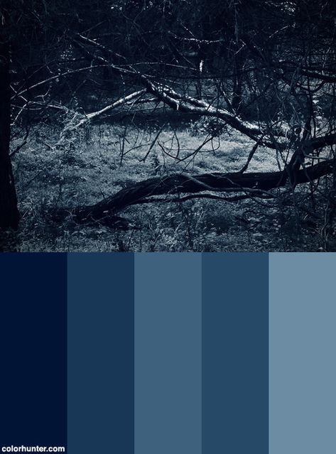 Blue Goth Color Palette, Dark Color Pallettes, Dark Cold Colors Palette, Ghost Color Palette, Wolf Color Palette, Shadow Color Palette, Rov Skin, Dark Blue Color Palette, Blue Color Pallet