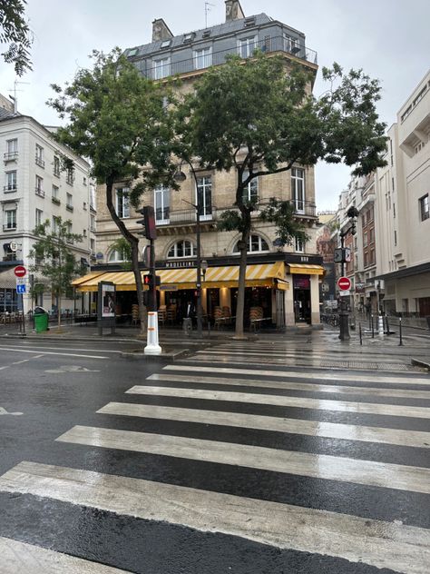 Paris wet floor from rain rain reflection humid paris road parisian crossing black and white road crossing in paris trees aesthetic city french Crossing Road Aesthetic, Rain Reflection, Paris Road, Rain In Paris, Paris Roads, Road Aesthetic, Road Crossing, Trees Aesthetic, Aesthetic City