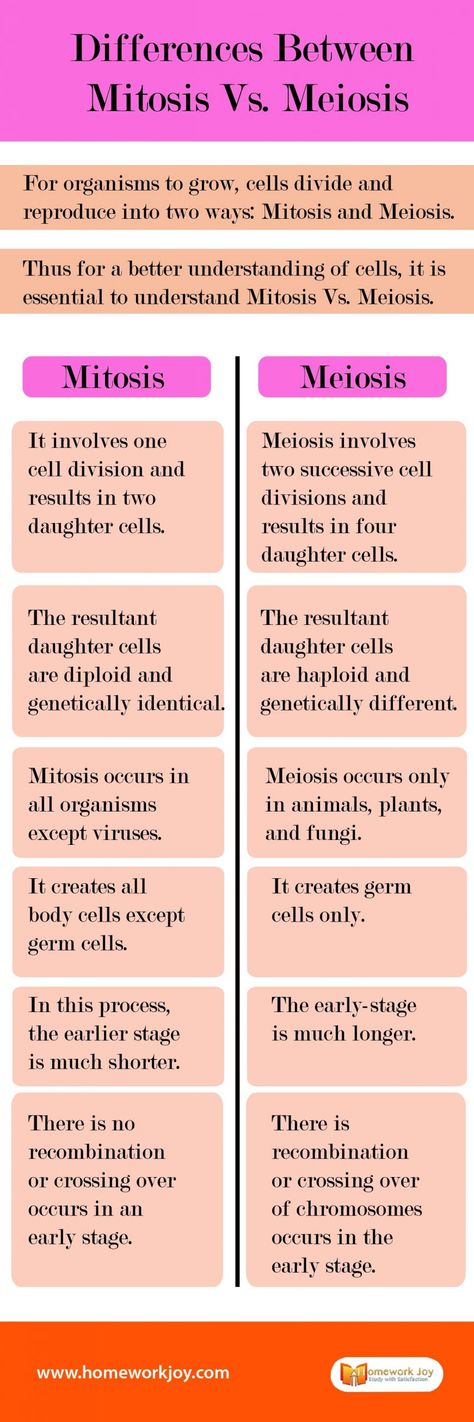 Difference Between Mitosis And Meiosis, Mitosis And Meiosis Notes Aesthetic, Mitosis Vs Meiosis Notes, Biology Mitosis Meiosis Notes, Meiosis Vs Mitosis, Mitosis And Meiosis Notes, Meiosis Notes, Mitosis Notes, Remedies For Bronchitis