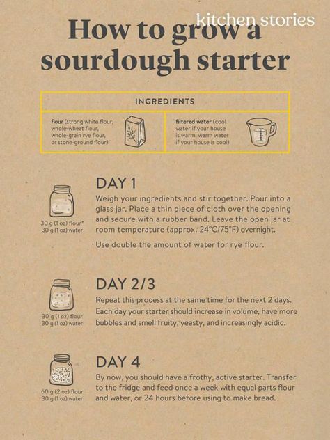 Sourdough Levain, Starter Sourdough, Sourdough Bread Starter, Dough Starter, Sourdough Starter Discard Recipe, Starter Recipe, Homemade Sourdough Bread, Bread Starter, Sourdough Starter Recipe