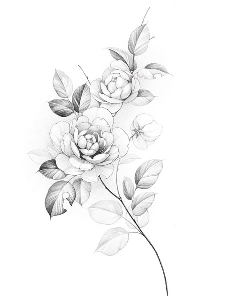 Korean Floral Tattoo, Peony Flower Tattoos Drawings, Peony Drawing Tattoo, Peony Back Tattoo, Tattoo Drawings On Paper, Peonies Tattoo Design, Peony Flower Tattoo Design, Peony Flower Drawing, Fineline Flower Tattoo