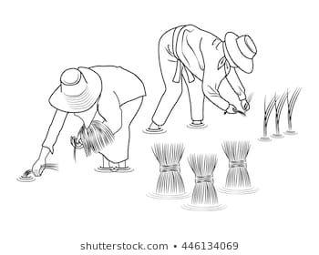 Farmers are planting rice cartoon vector Farmer Pose Reference Drawing, Farmers Drawing, Farmer Drawing Sketch, Farming Drawing, Farmer Drawing, Singing Drawing, Vector Illustration Character, Sketchbook Assignments, Landscape Pencil Drawings