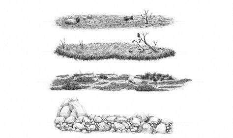 There are many types of ground you can use for your drawing. In this tutorial we'll take a close look at simple dirt, a grass field, a dry land (a semi-arid desert), and rocky ground. Dirt Drawing Reference, Forest Ground Drawing, Dirt Drawing, Soil Drawing, Draw Garden, Ground Drawing, Garden Planing, Draw Nature, Landscape Drawing Tutorial