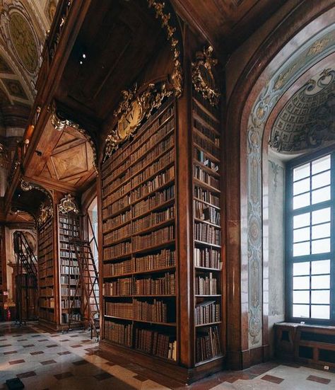 One Thousand Libraries 📖 on Instagram: "📚 Austrian National Library 📚 📍Vienna, Austria 😍😍😍 The Austrian National Library is the largest library in Austria and one of the oldest libraries in the world. It was founded in the early 18th century and has since grown to become a center of research and culture in Austria. The library is located in the heart of Vienna and holds over 7 million books and manuscripts, making it one of the most important cultural institutions in Europe. The Austrian Library Vienna, Austrian National Library, Old Library, Street Punk, National Library, One Thousand, Vienna Austria, Home Library, The Library