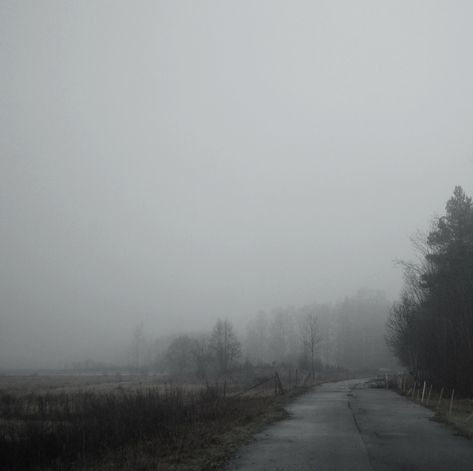 Poetic Photo, Foggy Weather, Gloomy Day, Dark Winter, Nature Aesthetic, White Aesthetic, Pretty Places, Aesthetic Photo, Dark Aesthetic