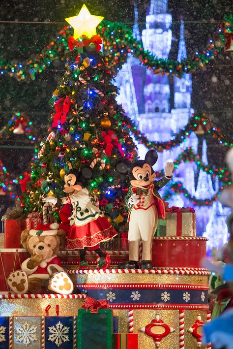 Mickey's Very Merry Christmas Navidad Natural, Disney Jr, Disney World Christmas, Very Merry Christmas Party, Christmas Event, Merry Christmas Images, Mickey Christmas, Scary Halloween Party, Mickey And Minnie Mouse