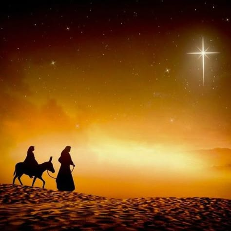 Stream Journey To Bethlehem by FSSPX-audio | Listen online for free on SoundCloud Christmas Bethlehem, Christmas Bible Study, The Star Of Bethlehem, Journey To Bethlehem, Bethlehem Christmas, Backgrounds Christmas, Mary And Joseph, Christmas Bible, Mary Mother Of God