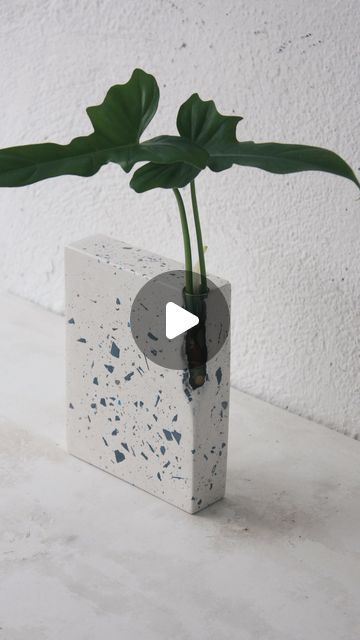 Making Concrete Pots, Easy Concrete Crafts, Cement Diy Ideas, Cement Vases Diy, Concrete Vase Diy, Concrete Crafts Ideas, Tulum Apartment, Diy Cement Projects, Diy Cement Candle Holders