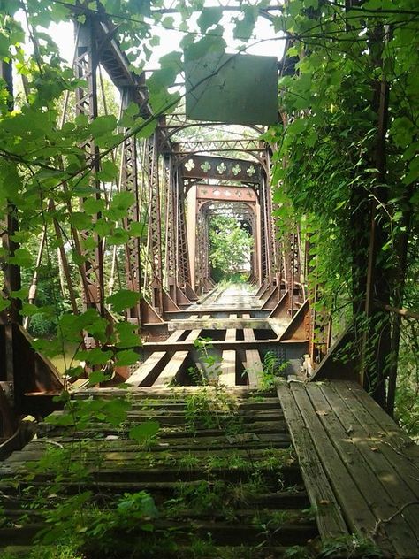 Abandoned Bridge, Train Bridge, Apocalypse Aesthetic, Abandoned Train, New Castle, Old Train, Abandoned Mansions, Old Bridge, Abandoned Buildings