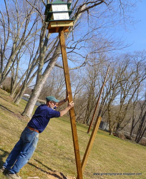 Growing in Grace: Purple Martin House on Swivel Pole Purple Martin Birdhouse Plans, Martin House Plans, Purple Martin House Plans, Purple Martin Bird, Birdhouse Pole, Purple Martin Birdhouse, Martin Bird House, Martin Bird, Purple Martin House