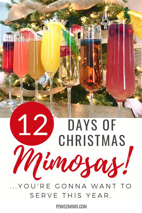 Christmas Brunch Drinks, Mimosa Recipes, Six Friends, Christmas Drinks Recipes, Mimosa Recipe, Appalachian State University, Appalachian State, Brunch Drinks, Christmas Punch