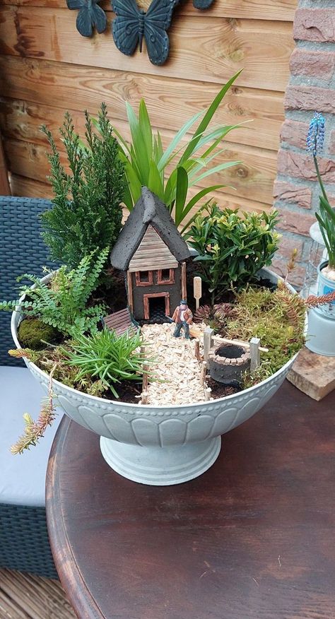 Best gardener garden projects garden outdoor gardening landscapi Miniature Fairy Garden Diy, Miniature Garden Design, Mini Cactus Garden, Succulent Garden Landscape, Fairy Garden Pots, Teacup Gardens, Zen Garden Design, Backyard Garden Layout, Succulent Garden Design