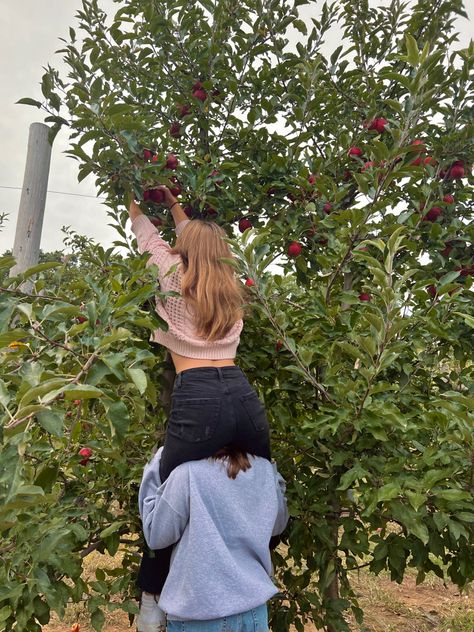 Strawberry Picking Aesthetic Friends, Picking Apples Aesthetic, Apple Picking With Boyfriend, Raspberry Picking Aesthetic, Picking Berries Aesthetic, Peach Picking Photoshoot, Peach Picking Aesthetic, Fruit Picking Photoshoot, Picking Fruit Aesthetic