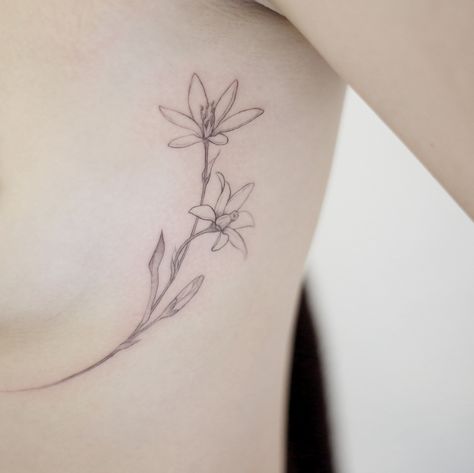 star of Bethlehem Star Of Bethlehem Flower, Enby Fashion, Star Of Bethlehem, Star Tattoos, Star Flower, Bethlehem, Flower Tattoos, Maple Leaf Tattoo, I Tattoo