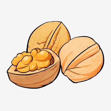 Nuts Drawing, Nut Drawing, Walnut Illustration, Nuts Illustration, Walnut Drawing, Nut Illustration, School Flashcards, Snack Png, Walnut Art