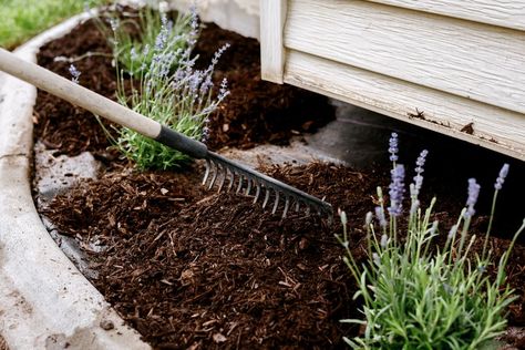 Landscape Timber Edging, Mulch Garden, Lasagna Gardening, Types Of Mulch, Landscape Timbers, Synthetic Lawn, Organic Mulch, Starting A Garden, Better Homes And Garden