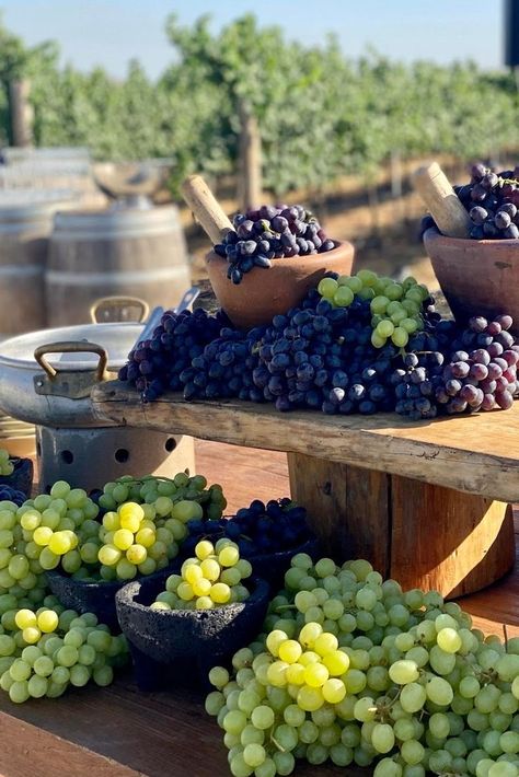 A vineyard wedding wouldn’t be complete without a snacking area with fresh grapes Grape Wedding Decor, Grapes Table Decor, Cottage Tablescape, Details Wedding Photos, Vineyard Party, Snacks Wedding, Grape Vine Decor, Vineyard Wedding Theme, Grape Cocktails