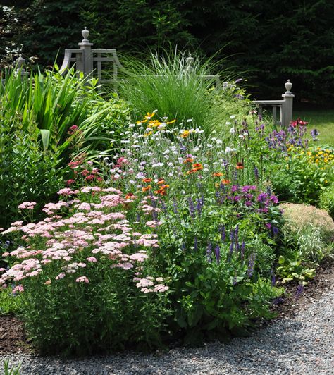 Yarrow In Landscape, Ontario Garden Ideas, Ontario Garden, Vege Patch, Uxbridge Ontario, Cottage Garden Plan, Gardening Wallpaper, Landscape Border, Yarrow Plant