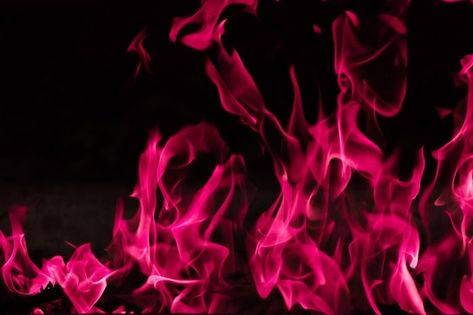 Black Light Burns, R&b Aesthetic, Fire Background, Christmas Lights Background, Pink Fire, Fire Flower, Black And White Picture Wall, Psd Background, Beautiful Pink Flowers