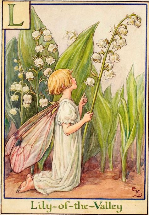 A Flower Fairy Alphabet 🥀 Lily-of- the-Valley Fairy by Cicely Mary Barker. Fairy Art, Flower Fairy Art, Watercolor Lily, Lily Of The Valley Flowers, Cicely Mary Barker, Flower Fairies, Flower Fairy, Fairy Land, Lily Of The Valley