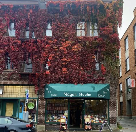 Seattle In The Fall, Seattle Fall Aesthetic, Ivy On Brick, Fall Seattle, Fall In Seattle, Seattle Fall, Seattle Life, Seattle Apartment, Seattle Trip