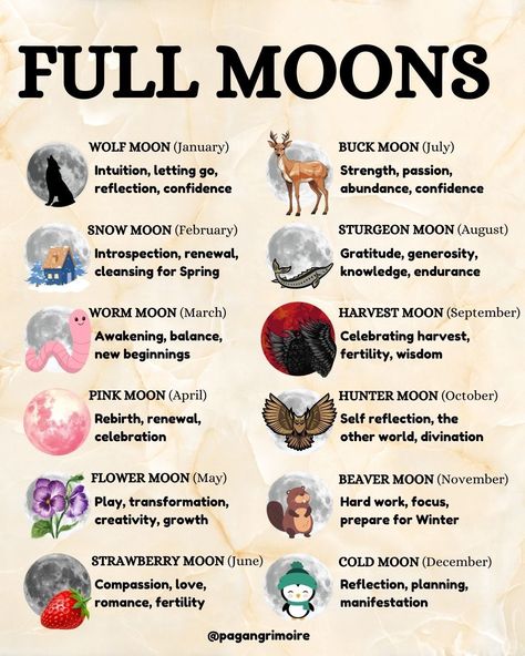 Discover the magic of the moon with our Full Moon guide, detailing each lunar phase, its intentions for moon rituals, and Full Moon names. From the Wolf Moon to the Cold Moon, learn how to harness the energy of each full moon for reflection, manifestation, spells, and personal growth as a witch or one looking to do some manifesting. 🌕✨ #FullMoon#MoonMagic #LunarPhases Full Moon Dates, Full Moon Calendar, Full Moon Names, Sturgeon Moon, Moon Date, Lunar Witch, Manifestation Spells, Moon Names, Cold Moon