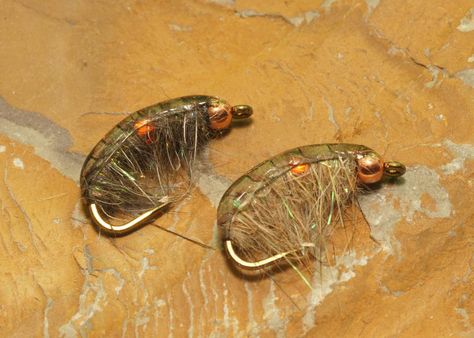 Humpback Spawner Fly Fishing Nymphs, Freshwater Shrimp, Caddis Flies, Fly Fishing Lures, Fly Fishing Flies Pattern, Fly Patterns, Fly Fishing Rods, Fishing Flies, Fly Tying Patterns