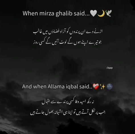 Urdu Poetry About Beauty, Urdu Asthetic Shayari, Doctor Poetry In Urdu, Beautiful Quotes Deep In Urdu, Galib Poetry Urdu, Best Shayari In Urdu, Memories Poetry In Urdu, Urdu Asthetic Lines, Mirza Ghalib Quotes Urdu