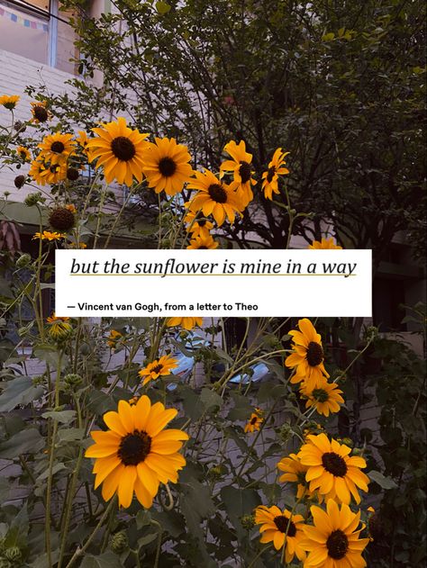 Positive Parenting Quotes, Sunflower Quotes, Sunflower Photography, Environment Painting, Dandelion Yellow, Diy Crafts Bookmarks, Flowery Wallpaper, Nothing But Flowers, Poetry Art