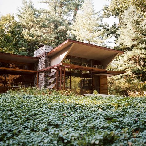 Usonian House, Frank Lloyd Wright Design, Frank Lloyd Wright Homes, Imperial Hotel, Suburban House, Japanese Architect, Japanese Architecture, Frank Lloyd, Lloyd Wright