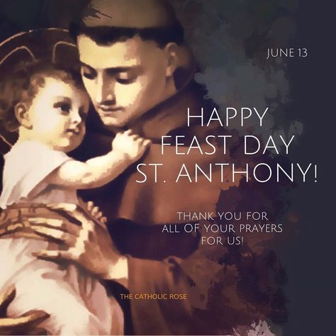 Kathleen M Obara on Instagram: “HAPPY FEAST DAY DEAR FRIEND ST. ANTHONY OF PADUA! ORA PRO NOBIS! ❤️ #lambofgod #stanthonyofpadua #stanthony #catholic #catholicsaints” St Anthony Of Padua Wallpaper, St Anthony Feast, Feast Day Wishes, St Anthony Feast Wishes, St Anthony Of Padua Quotes, Happy Feast Of St Anthony, St Alphonsa, Feast Of St Anthony, St Anthony The Great