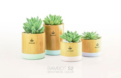 Wadiary Bambot - Bamboo Pot on Behance Bamboo Pot, Garden Gadgets, Bamboo Diy, Succulent Bowls, Bamboo In Pots, Bamboo Planter, Bamboo House Design, Bamboo Decor, Bamboo Architecture