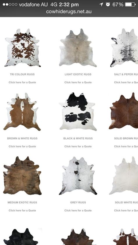 Carpet Farmhouse Style, Nguni Decor Living Rooms, Cow Hide On The Wall, Cowprint Rug, Cow Skin Rug Living Room, Cow Hide Rug Living Room, Cow Rug Living Room, Cow Carpet, Cowhide Rug Living Room