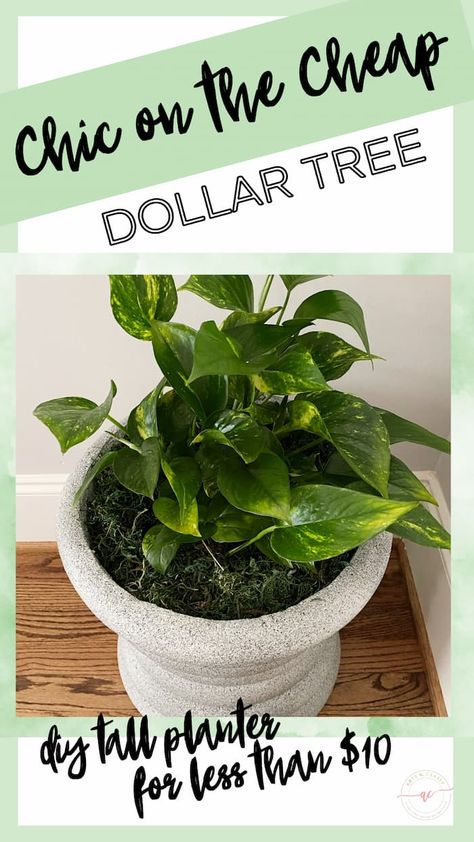 If you're looking for a cheap way to pep up your home or garden, look no further! You can make a stylish, durable, and long-lasting tall planter for under an hour with just a few basic tools and supplies from Dollar Tree. No power tools are required for this project, and all the tips, tricks, and techniques you need to make a cheap DIY tall planter will be revealed in this easy-to-follow DIY tutorial. Diy Big Planters Pots Outdoor, Dollar Tree Diy Planter, Diy Tall Planters Indoor, Diy Front Porch Planters, Unique Planter Ideas Indoor, Diy Tall Planters Outdoor Cheap, Dollar Tree Garden Hacks, Diy Large Planters Outdoor Cheap, Diy Large Planters Outdoor