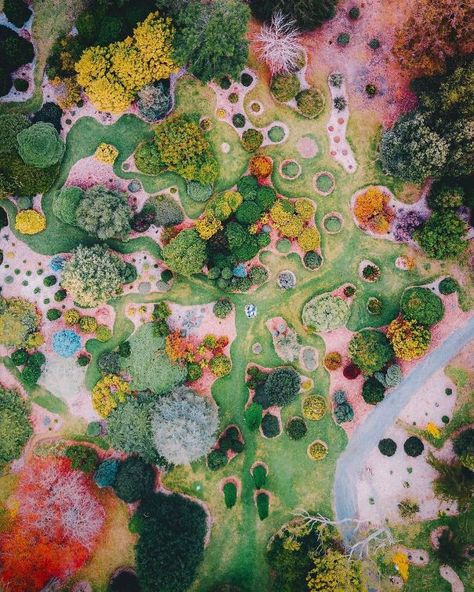 This Aerial Photo Of A Garden Looks Like A Surrealist Painting Aerial Photography Drone, Photography Series, Web Images, Flower Gardens, Drone Photos, Aerial Photo, Birds Eye View, Drone Photography, South Australia