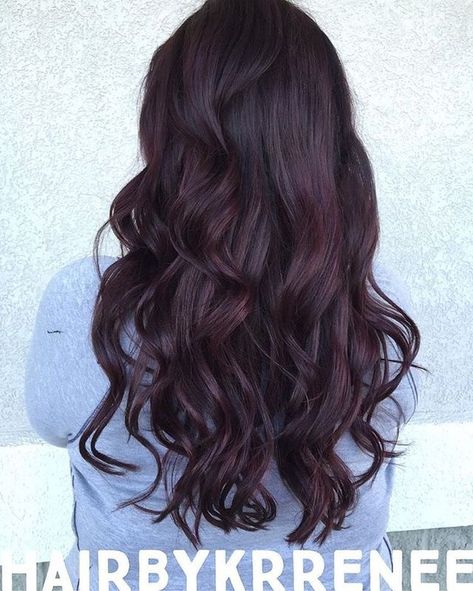 Plum Brown Hair, Merlot Hair Color, Pelo Color Vino, Hair Color Plum, Plum Hair, Wine Hair, Cherry Hair, Violet Hair, Hair Color Burgundy